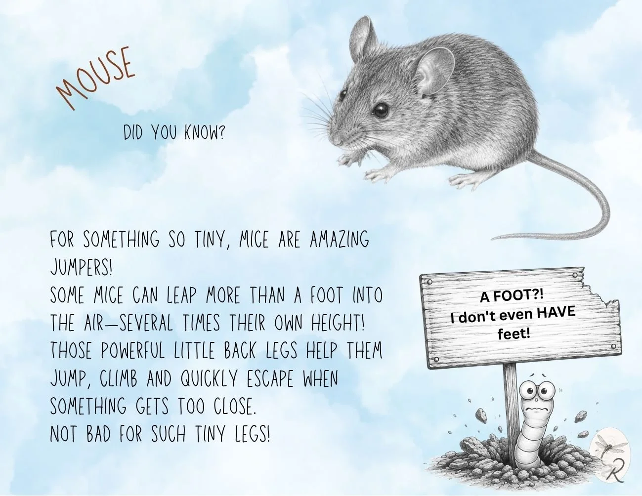 Mouse Fact