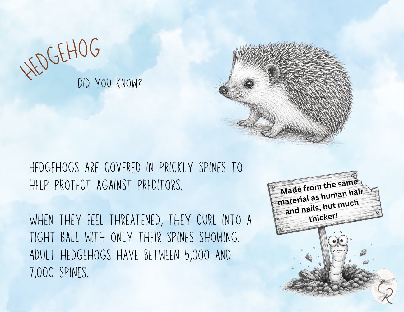 Hedgehog Fact