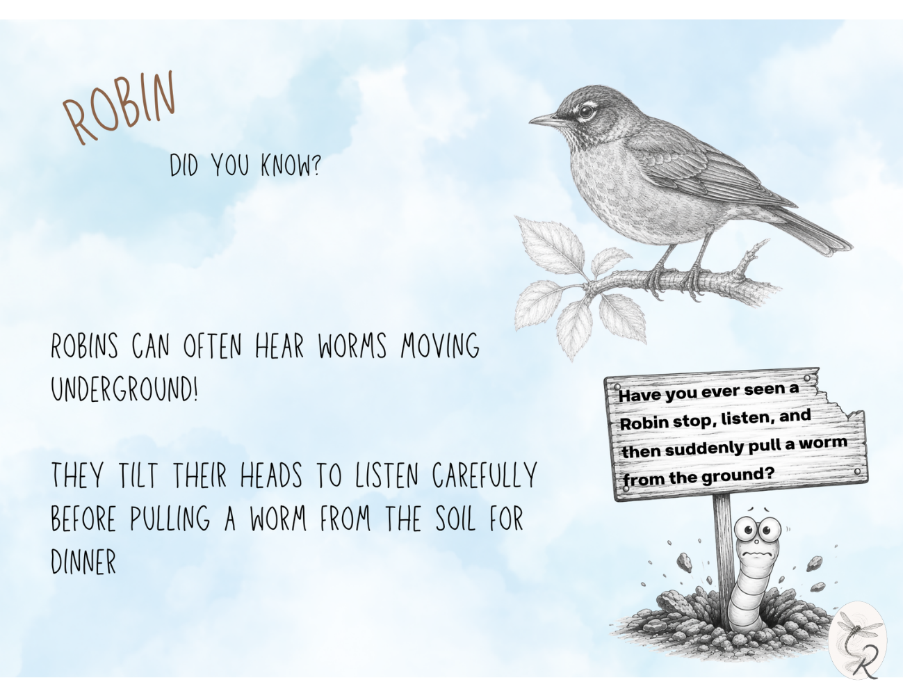 Robin Fact