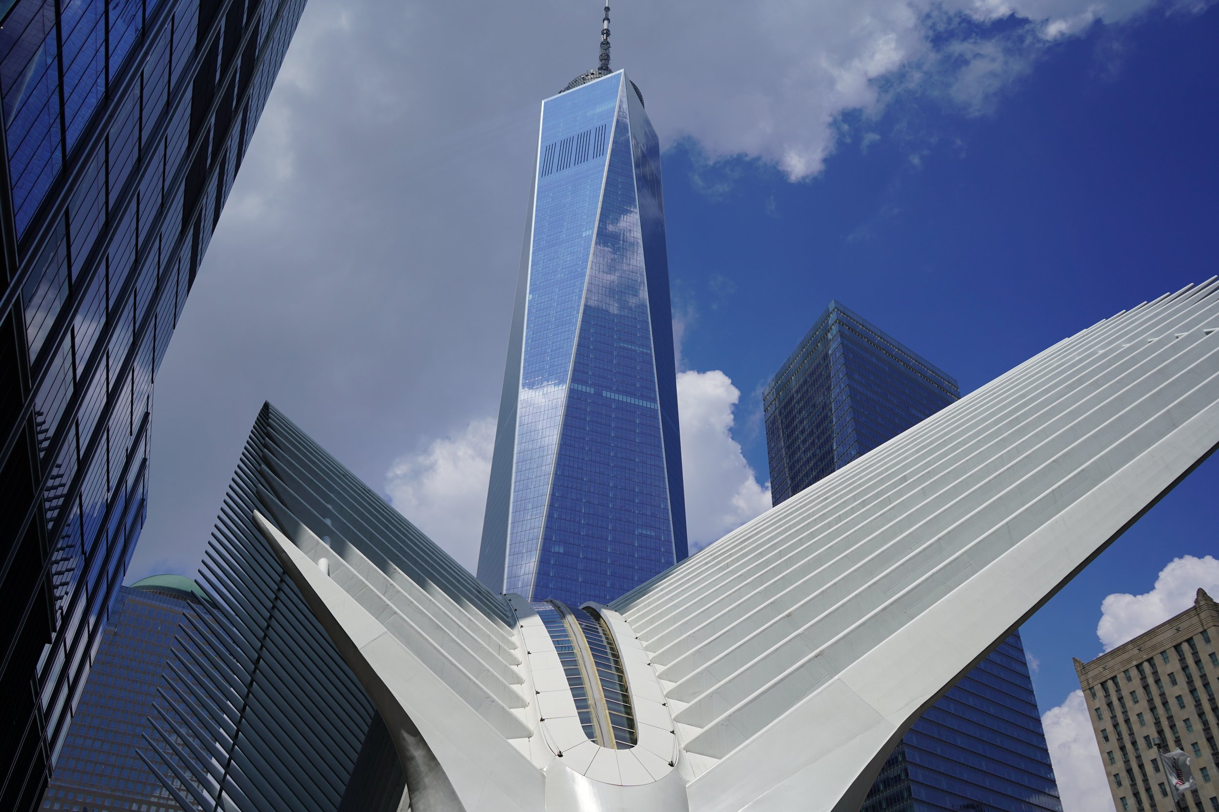 Downtown_Manhattan_NYC_26218631517642.jpg
