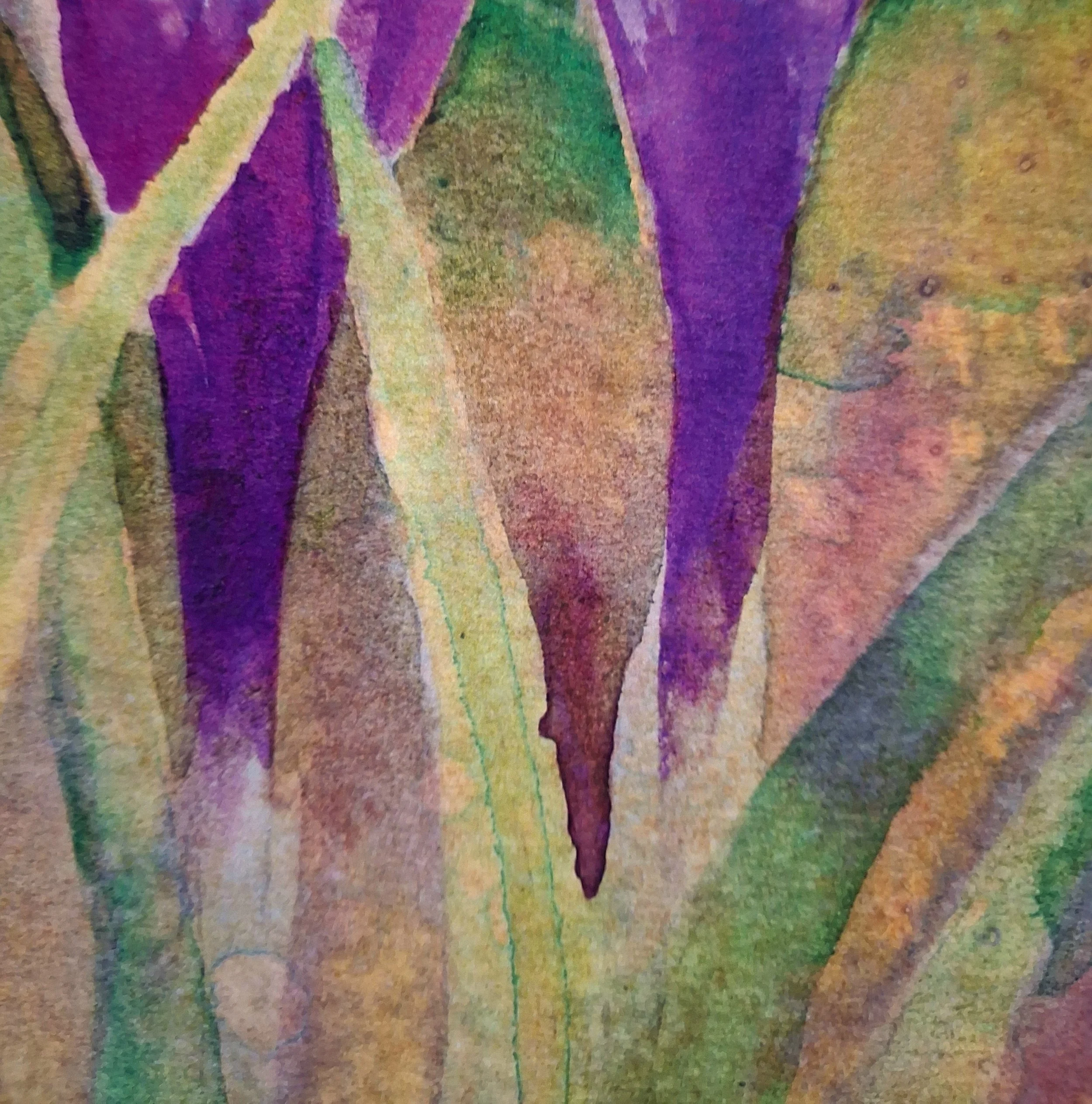 crocus-closeup.jpg