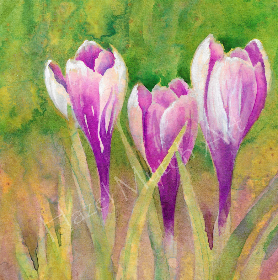 crocus.png