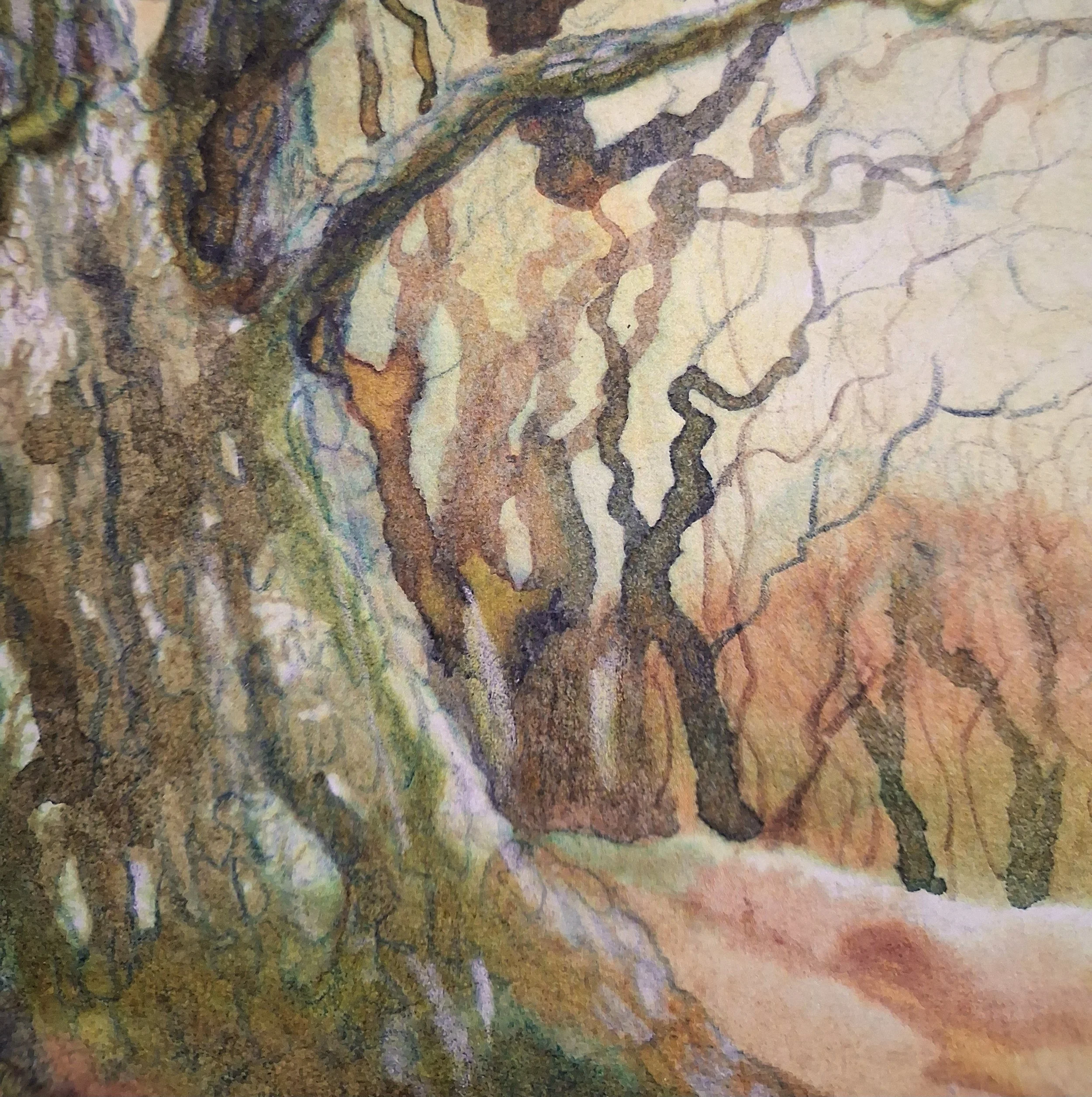 winteroak-closeup.jpg