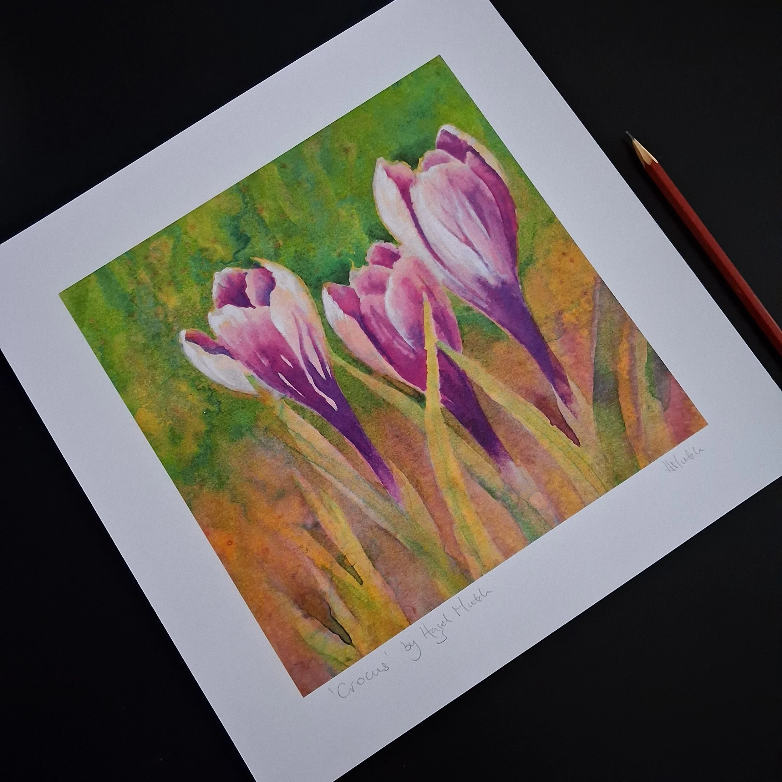 crocus-signed.jpg