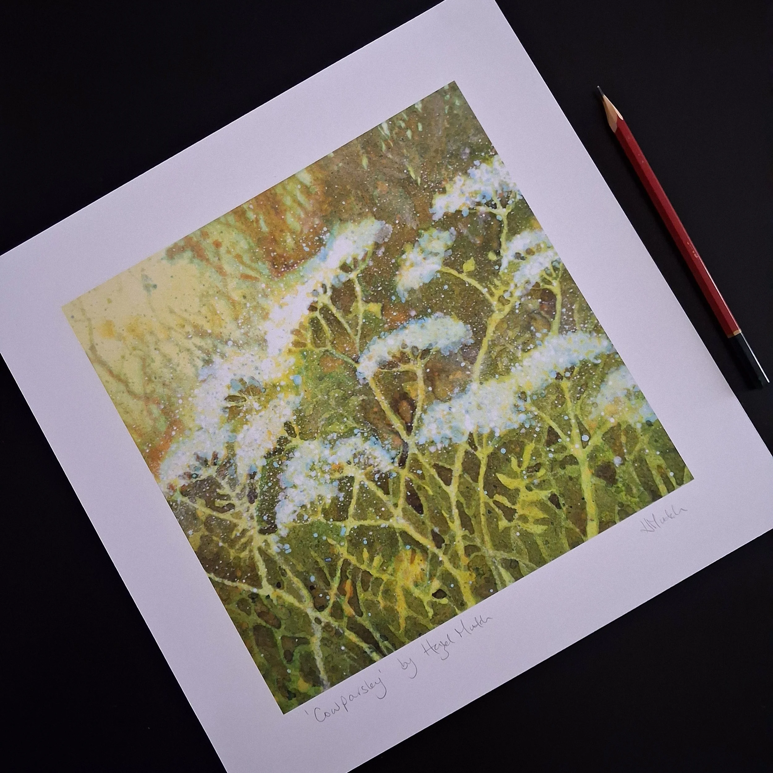 cowparsley-signed.jpg