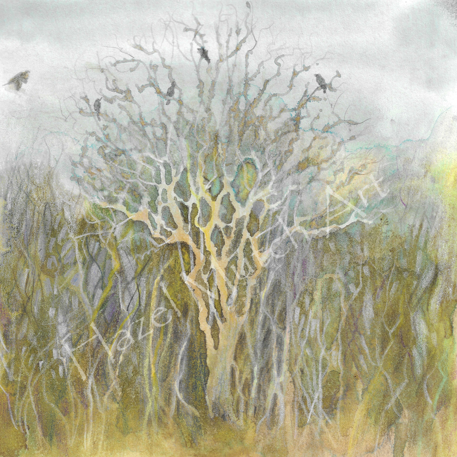 Elder.png