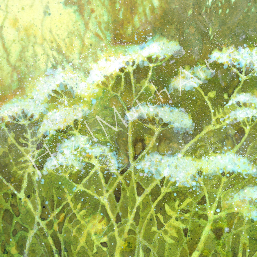Cowparsley.png