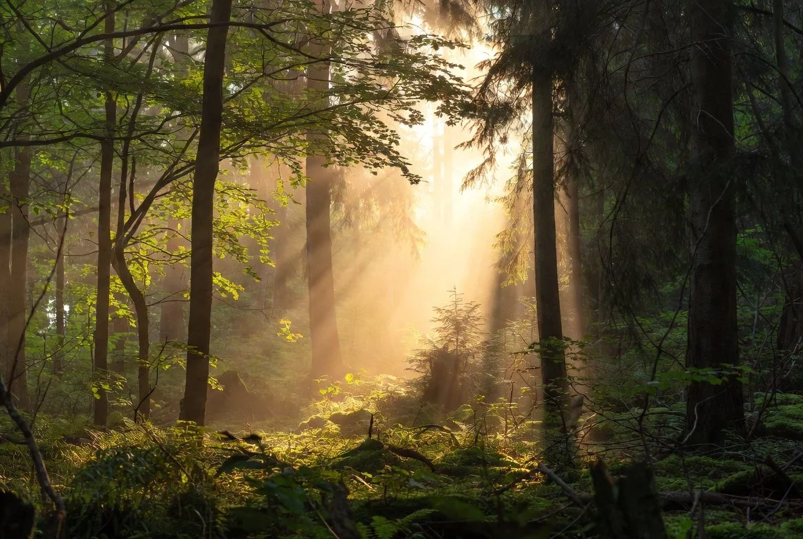 Why People Come to QHHT for Physical and Mental Healing