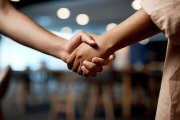 Premium Package: "Fractional HR & Operations Partner"