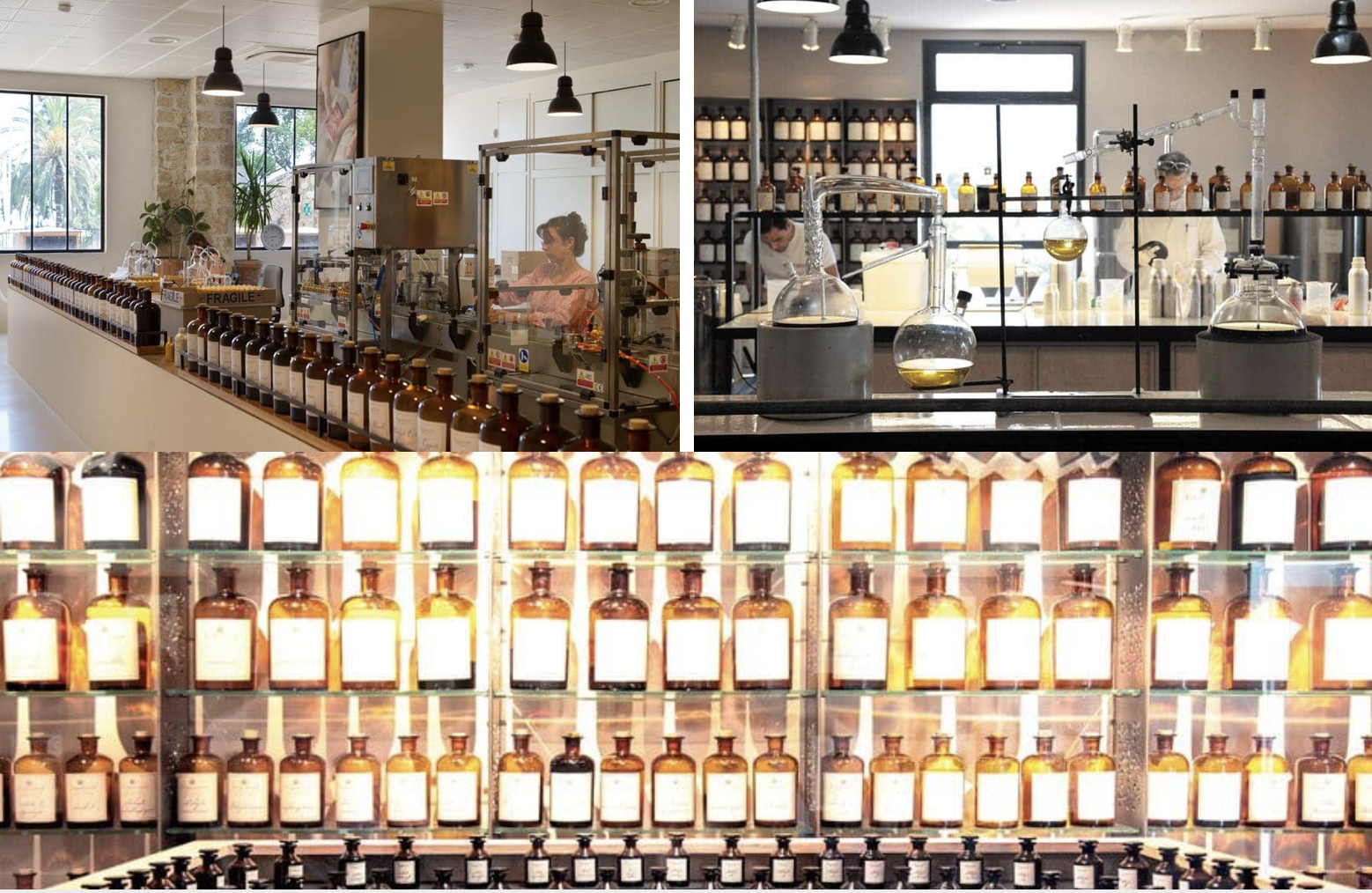 Split image showing a laboratory or apothecary setting with shelves of amber glass bottles, a scientist working at a lab table with lab equipment, and a production line of large bottles, likely in a perfume or essential oil manufacturing facility.