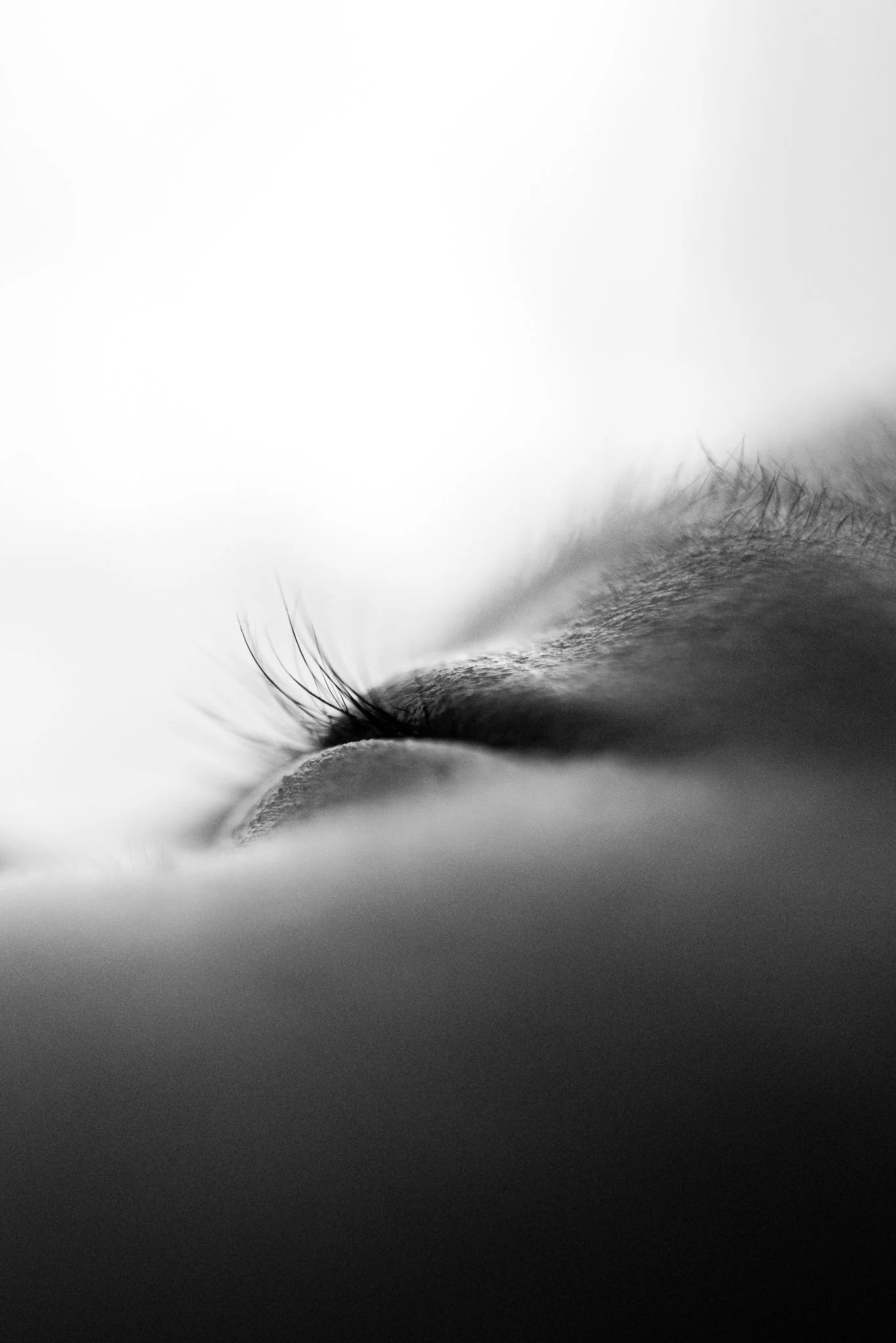 Close-up of a human eye in black and white, showing the eyelashes and eyelid.