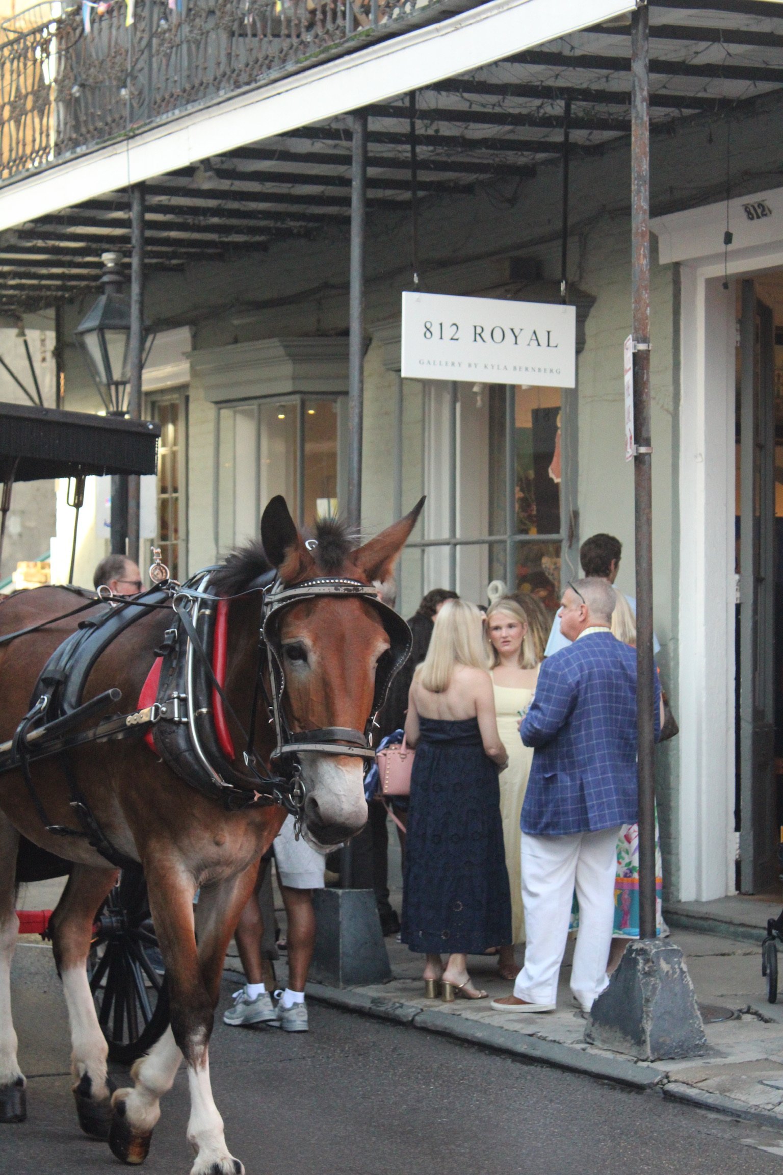 A bustling street scene with people gathering outside a gallery called 812 Royal. A horse with harnesses and gear is in the foreground, and people are dressed in formal and semi-formal attire, engaging in conversation near the entrance.