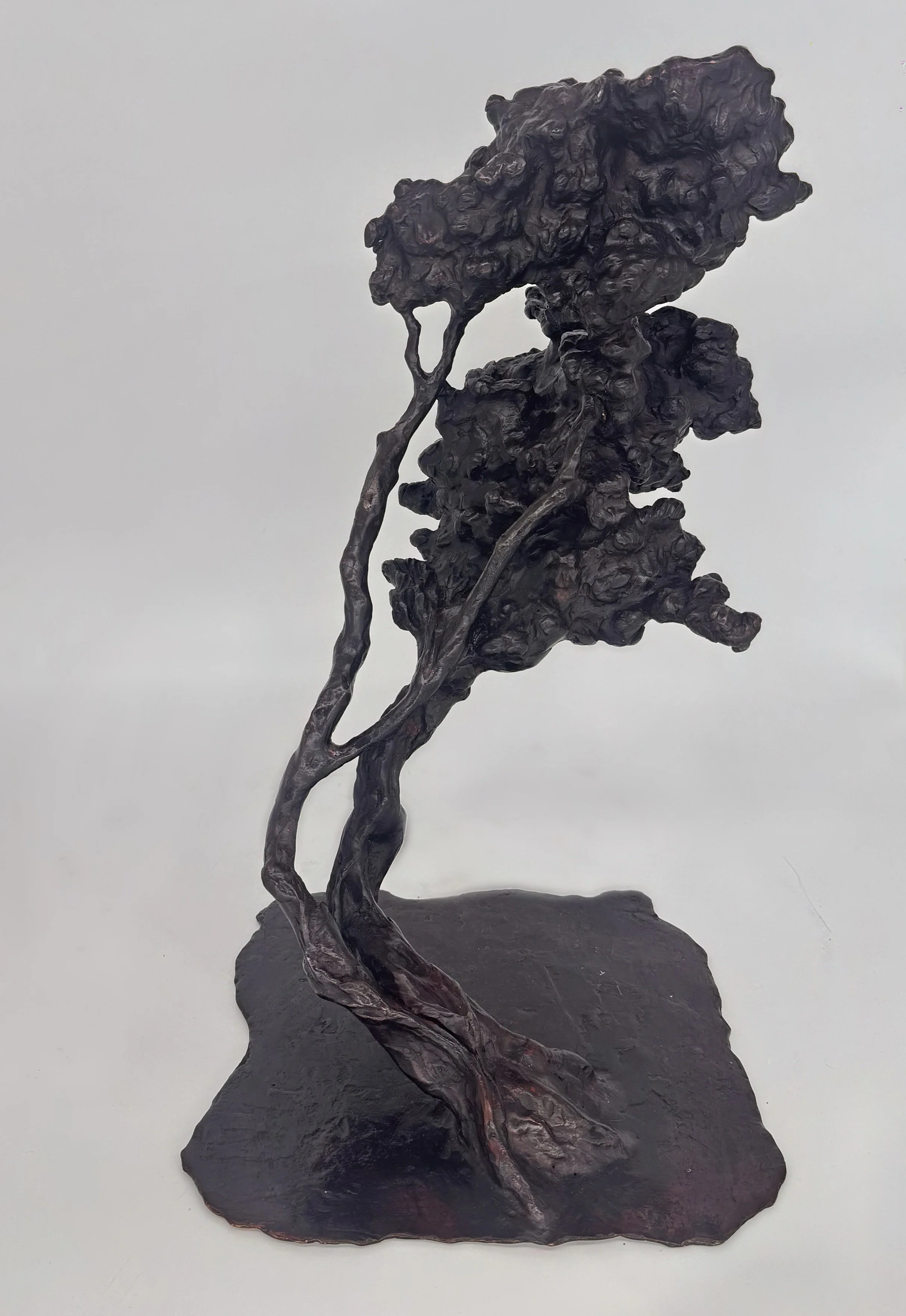 Tree Of Life