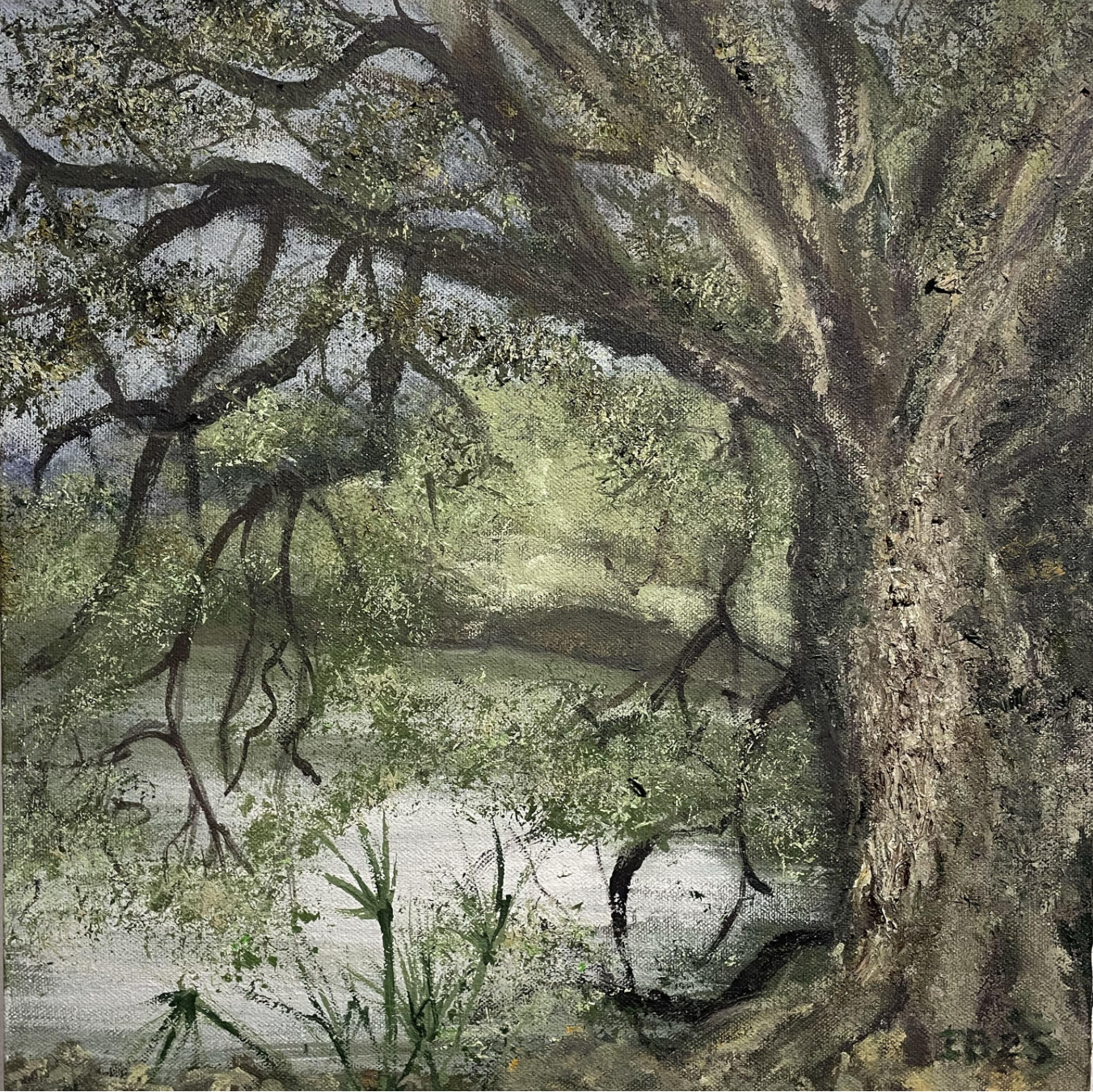 A painting of a large, old tree with thick, gnarled branches extending over a river or stream in a natural setting.