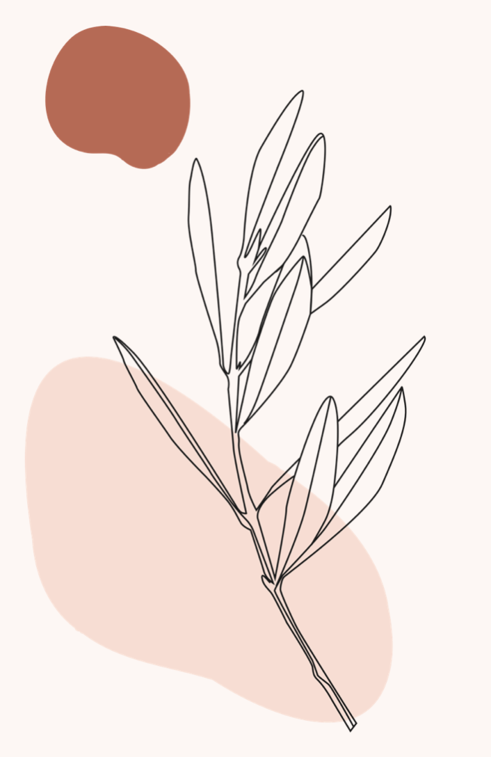 Minimalist line drawing of a leafy plant with abstract colored shapes in the background, including a large peach-colored shape and a smaller reddish-brown circle.