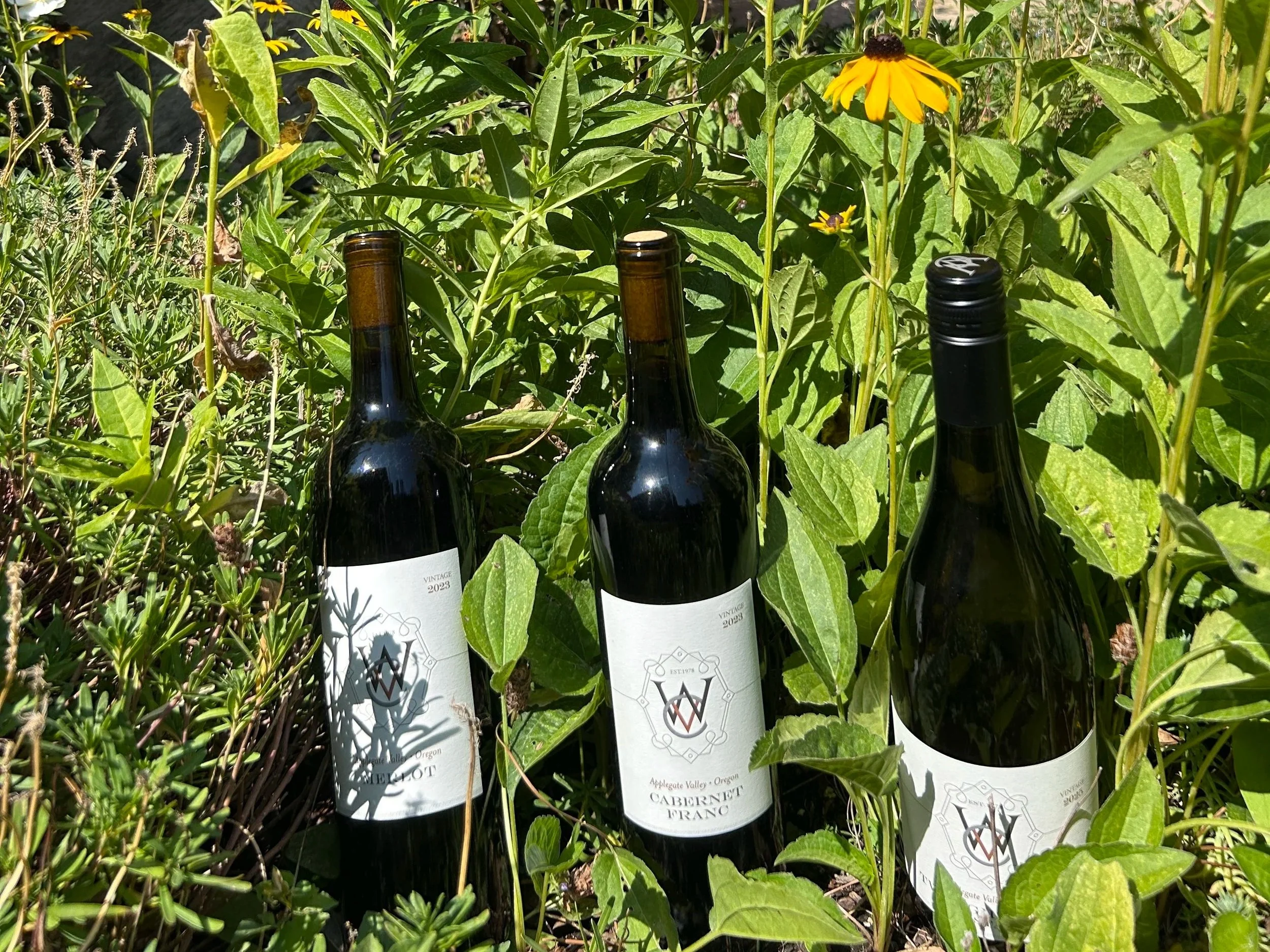 Wine in the Wild