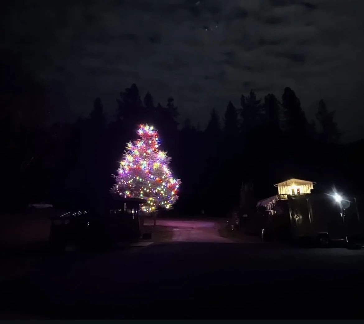 Annual Tree Lighting 