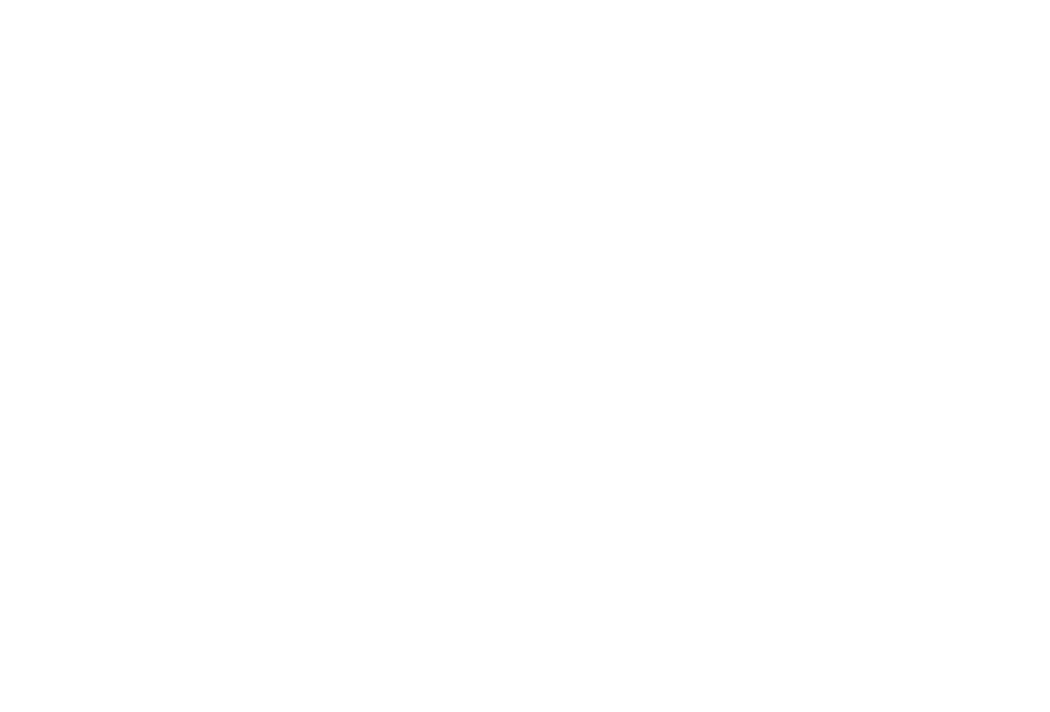 Studio Victoria Louise