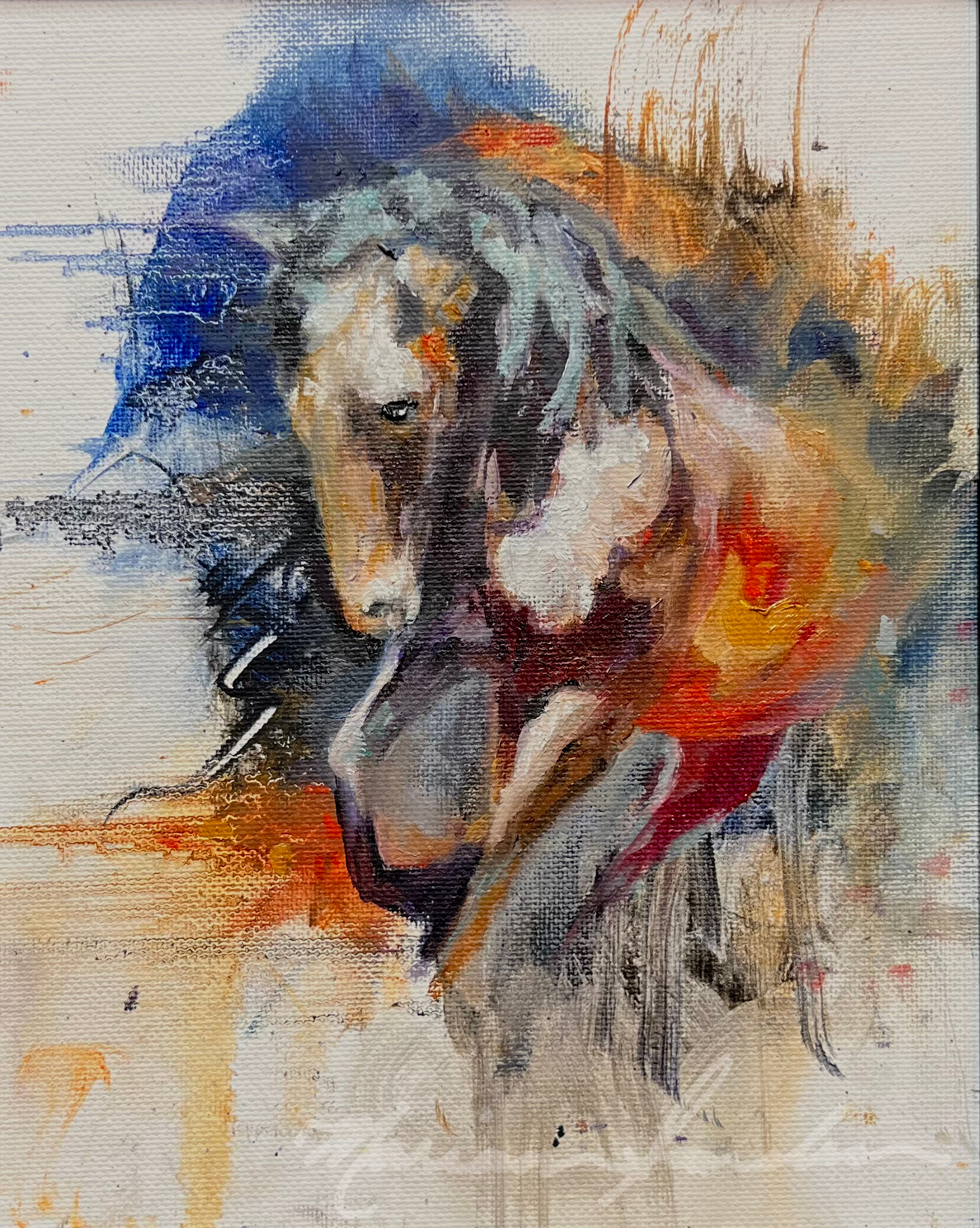 Wild Horses