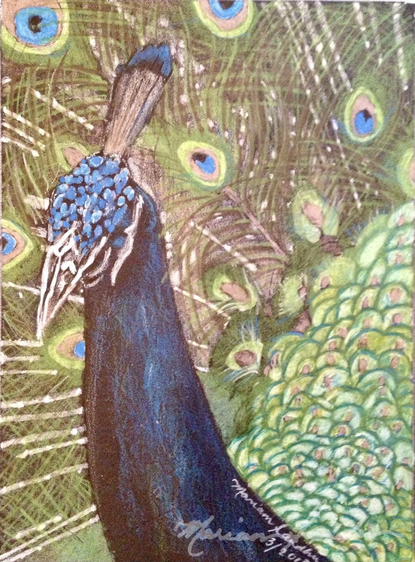 Peacock