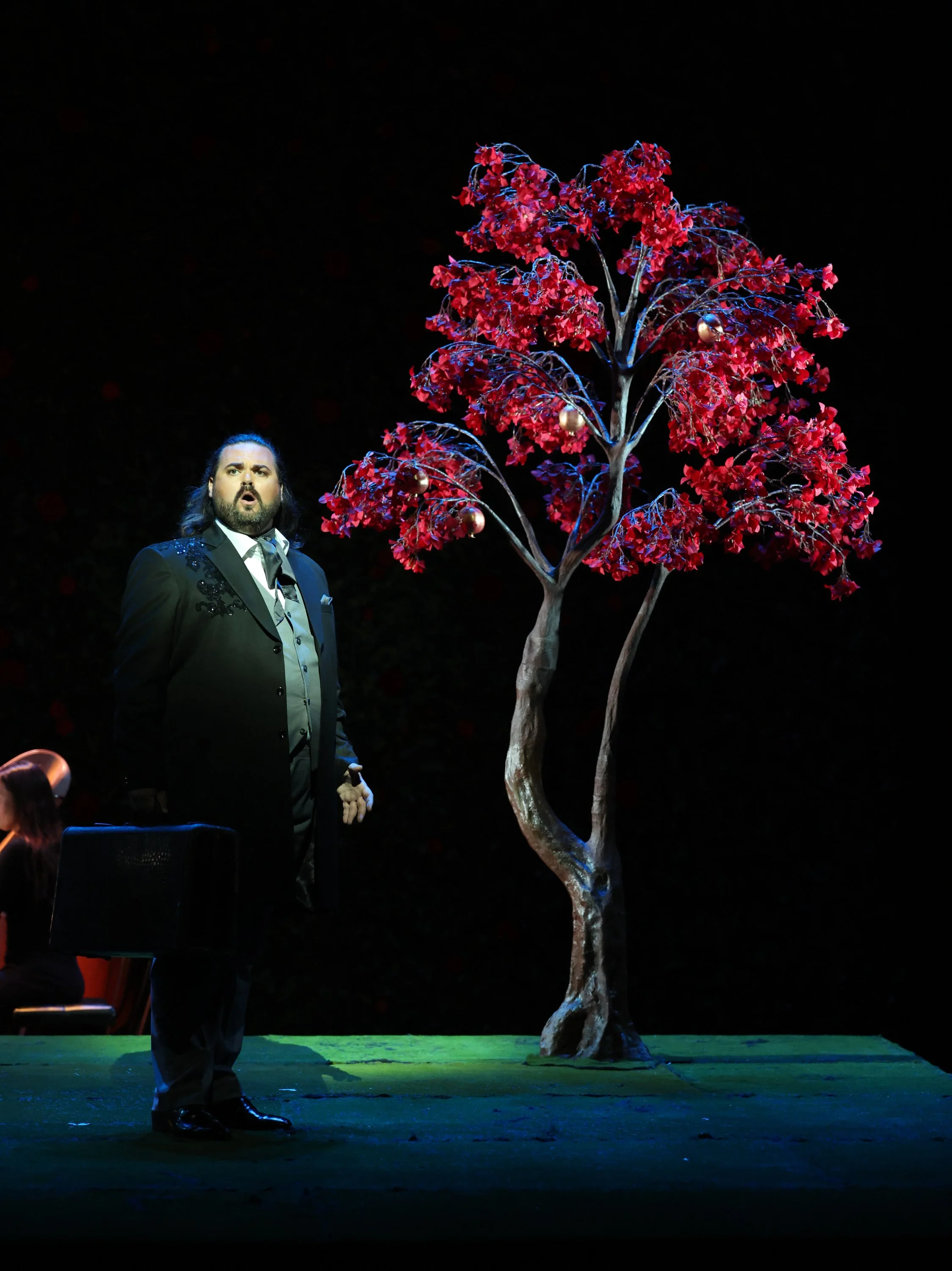 Rappaccini's Daughter
Opera Columbus 2025

Stage Director: Brandon Shaw McKnight
Conductor: Rolando Salazar
Stage Manager: Rickelle Williams
Costume Designer: Gerardo Encinas
Set Designer: Julia Noulin-Merat
Lighting Designer: Mario Raymond