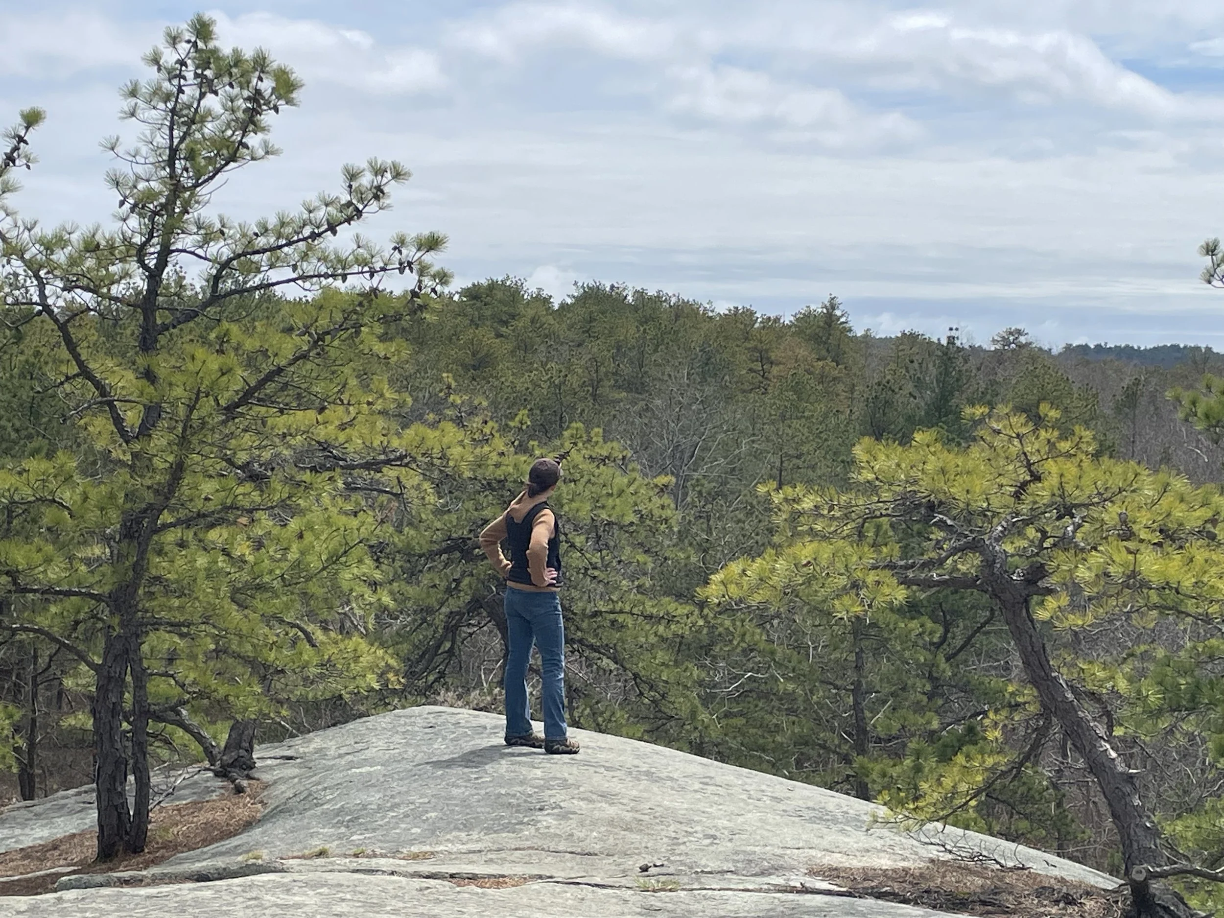 A person standing on a large, flat rock in a forested area, looking out at the trees and cloudy sky in the distance.