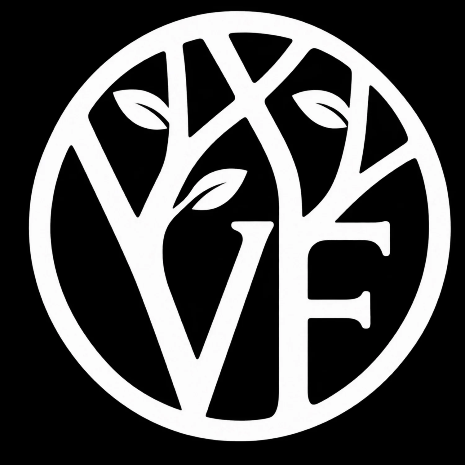 [VFW Logo here]