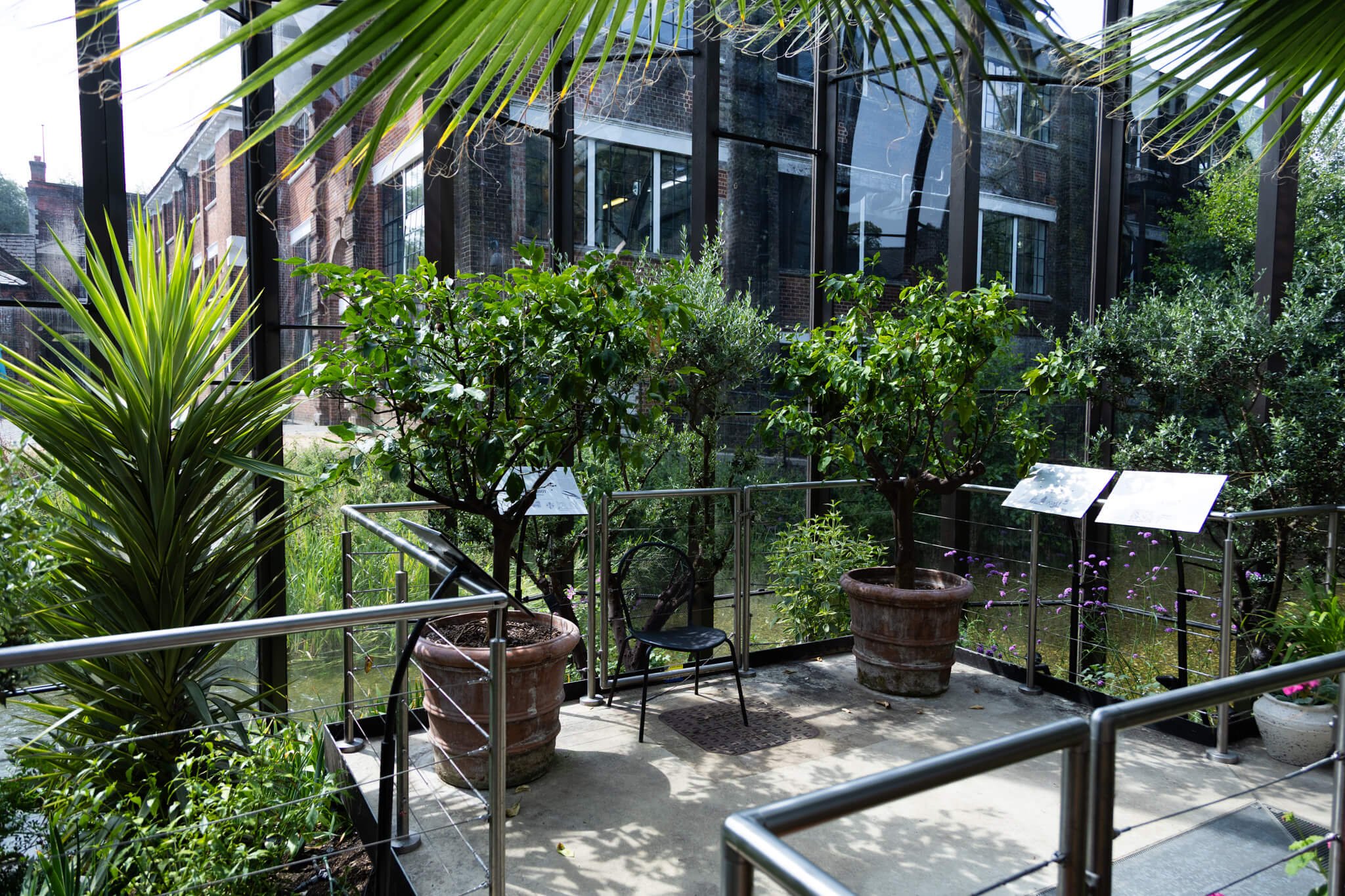 Plants inside the glasshouse at the bombay sapphire distillery on a wedding recce trip