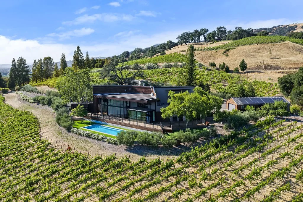 Modern house with large windows and swimming pool in a vineyard landscape with hills and vineyards.