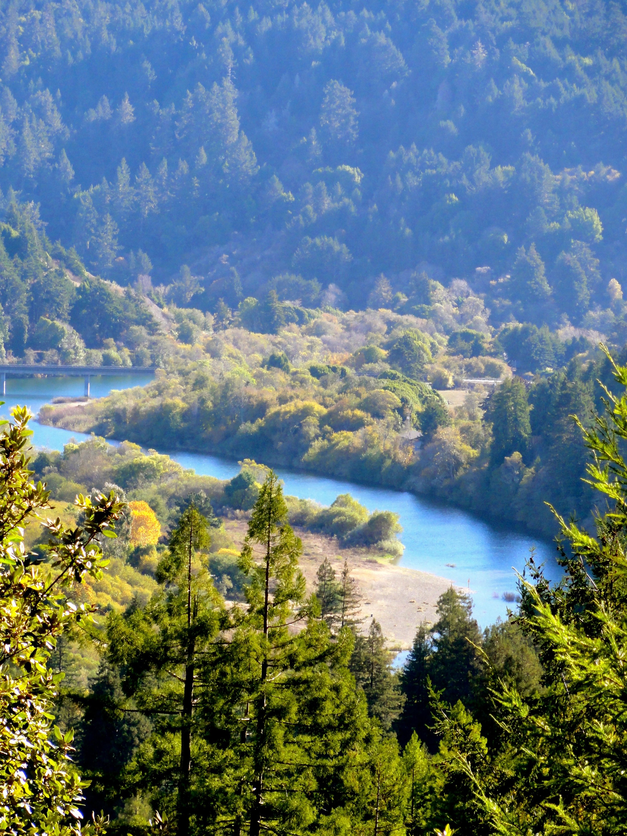 A peaceful landscape of a winding river flowing through a densely forested valley with various trees and green foliage, under a clear sky.