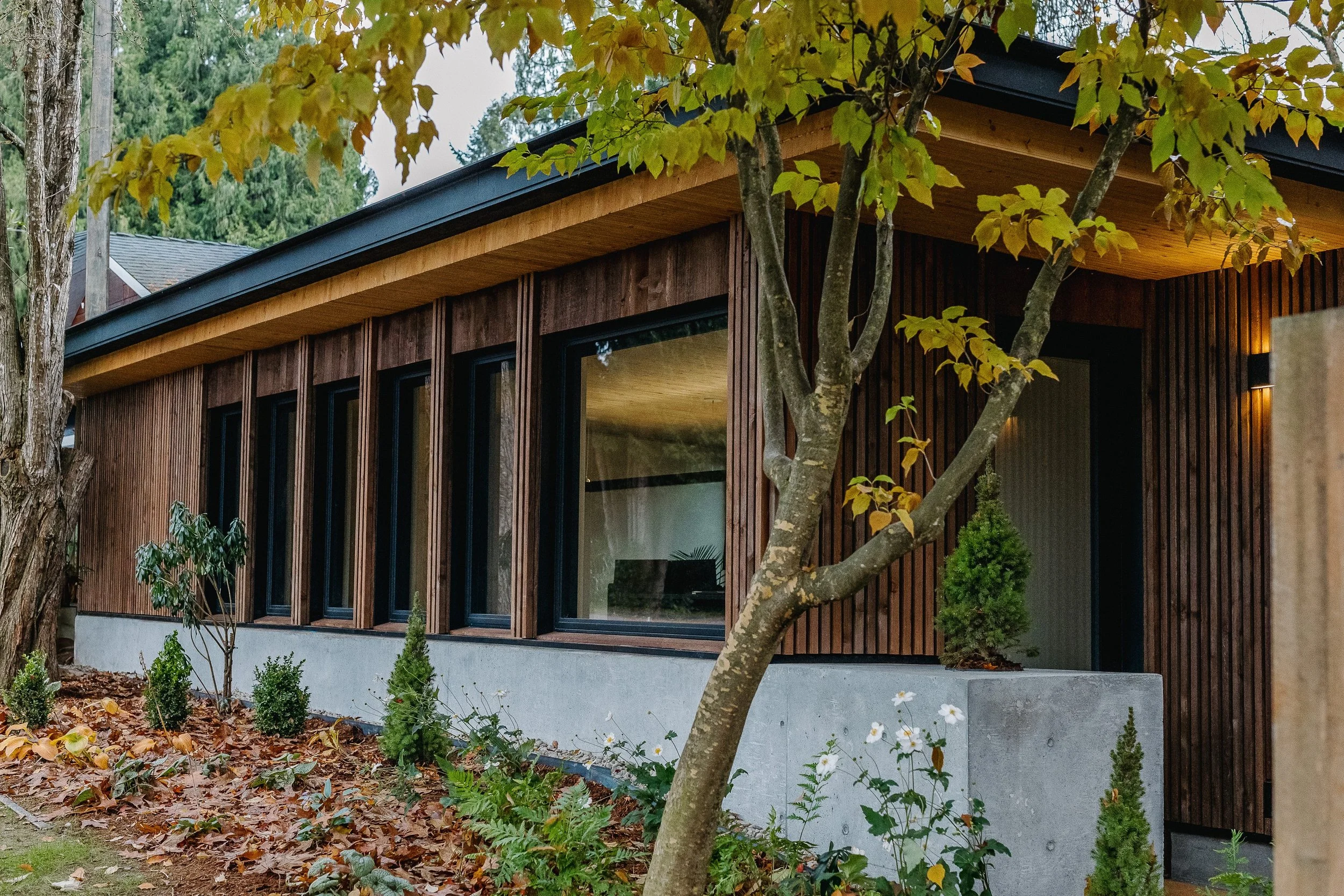 A modern house with large windows, wood siding, and a sloped black roof, surrounded by trees and a landscaped garden with small plants and fallen leaves.