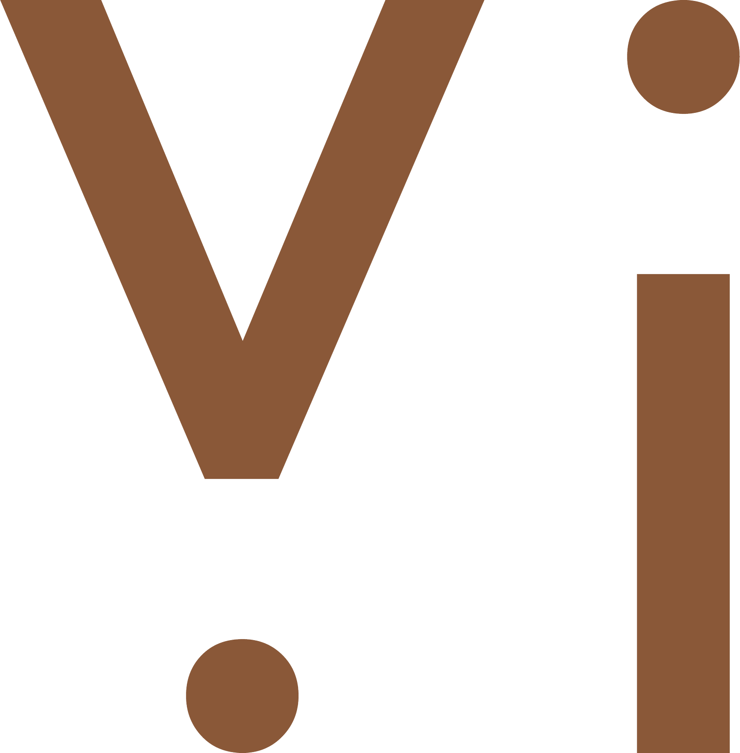 studio v.i