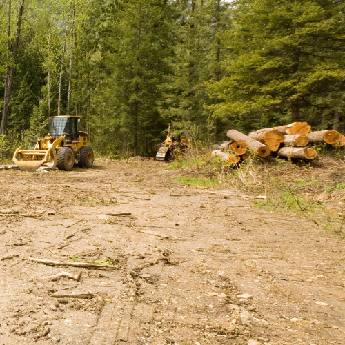 A bulldozer and a small tracked excavator working on a cleared forest area with logs piled to the right and trees in the background.