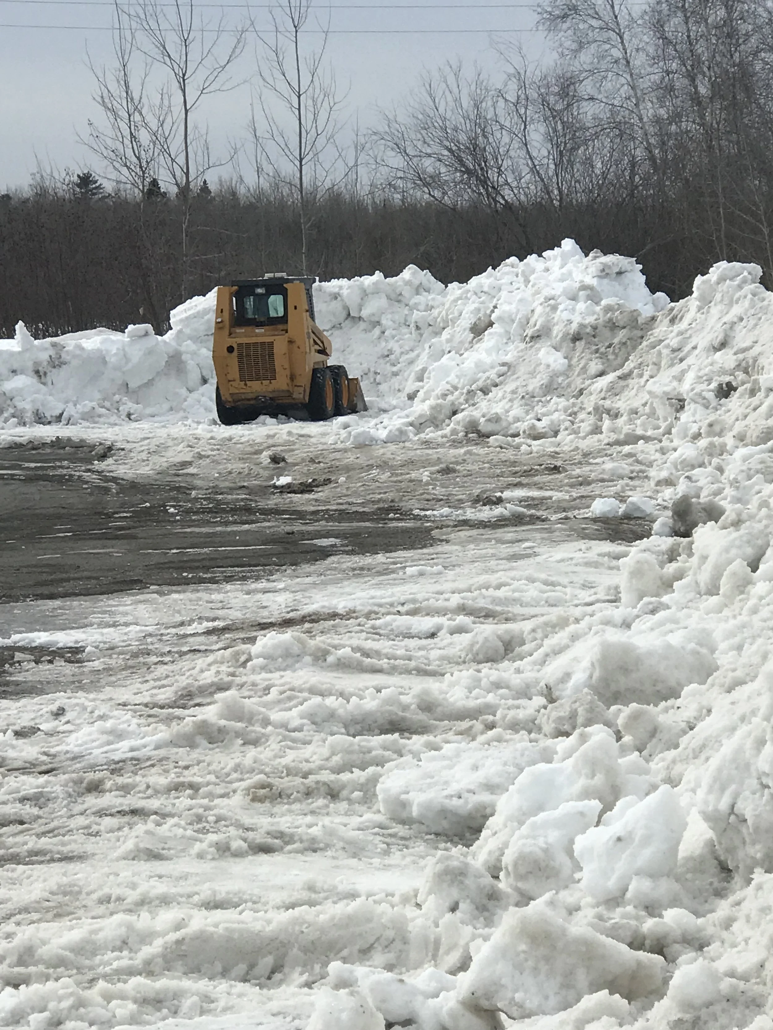 A bulldozer clearing snow from a road with large piles of snow on the sides, trees in the background, and a cloudy sky.