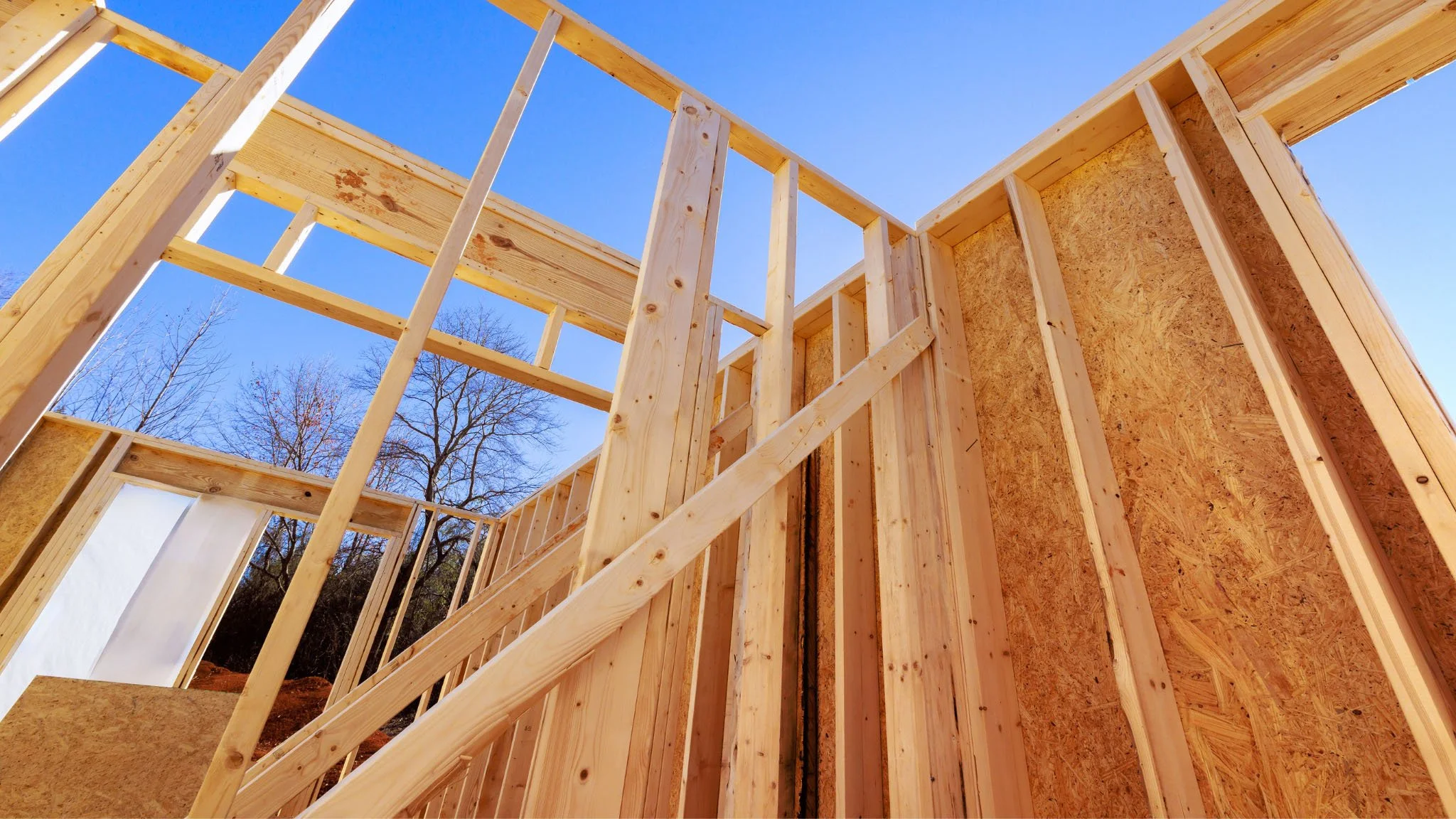 Wooden framing of a building under construction with a clear blue sky and leafless trees in the background.
