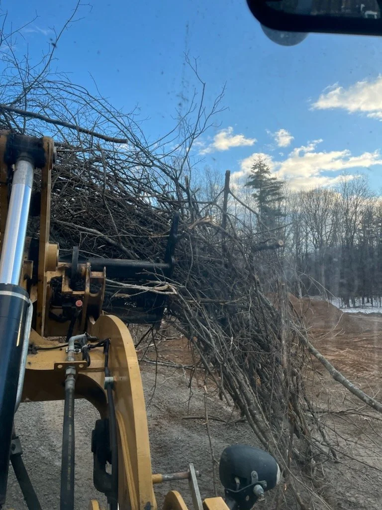 Image shows a construction site with a tree being cut down by heavy machinery under a blue sky with some clouds.