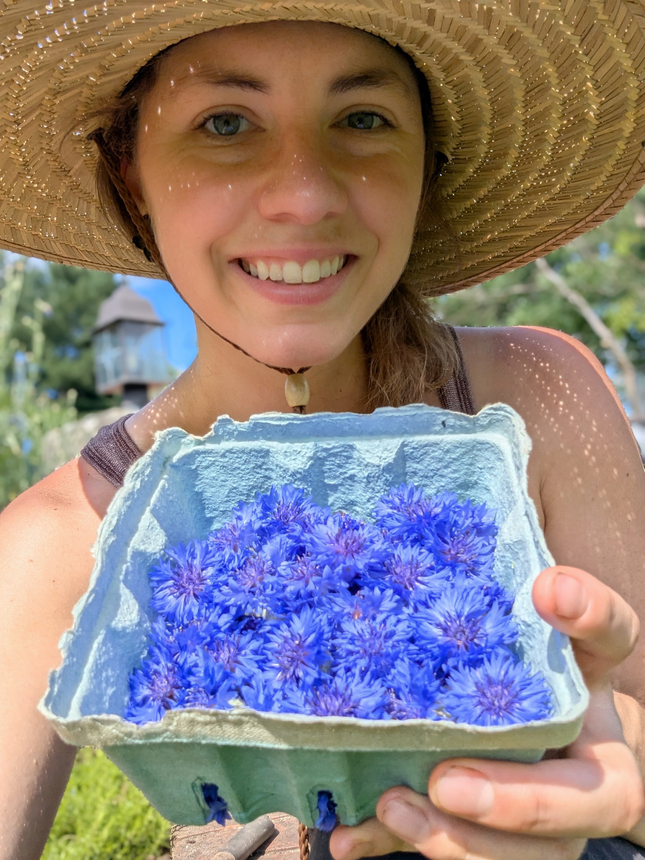 A woman wearing a large straw hat is holding a bowl of purple flowers outdoors in sunny weather, smiling at the camera.