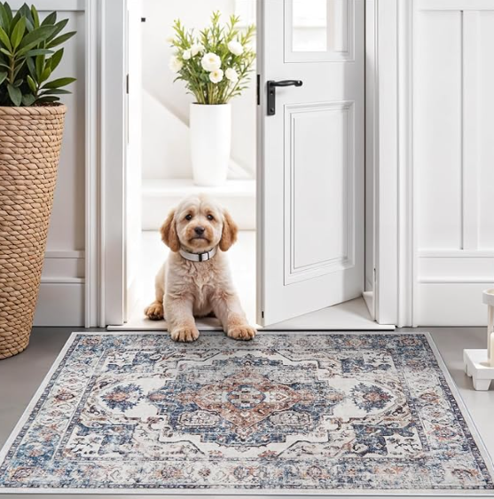 A puppy sitting at the threshold of a white door, inside a bright room with a patterned rug, potted plant, and a vase of white flowers.