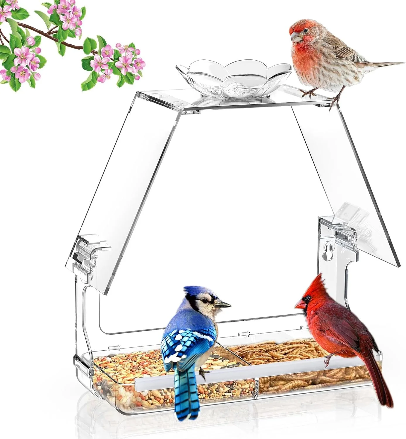 WENMIXER Window Bird Feeder with Non-Marking Self-Adhesive Hooks, Clear and Transparent, Outdoor Wild Bird Watching Gift, Garden Decor (with Large Window)