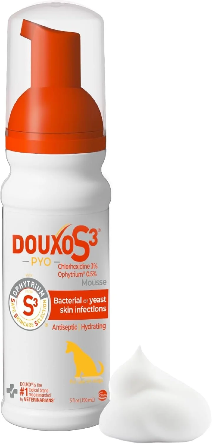 Douxo S3 PYO Medicated Dog Mousse - Bacterial & Yeast Infection Treatment | Chlorhexidine for Dogs; Waterless Shampoo, Antibacterial & Antiseptic, for Dogs Only, Clinically Proven, 5 fl oz
