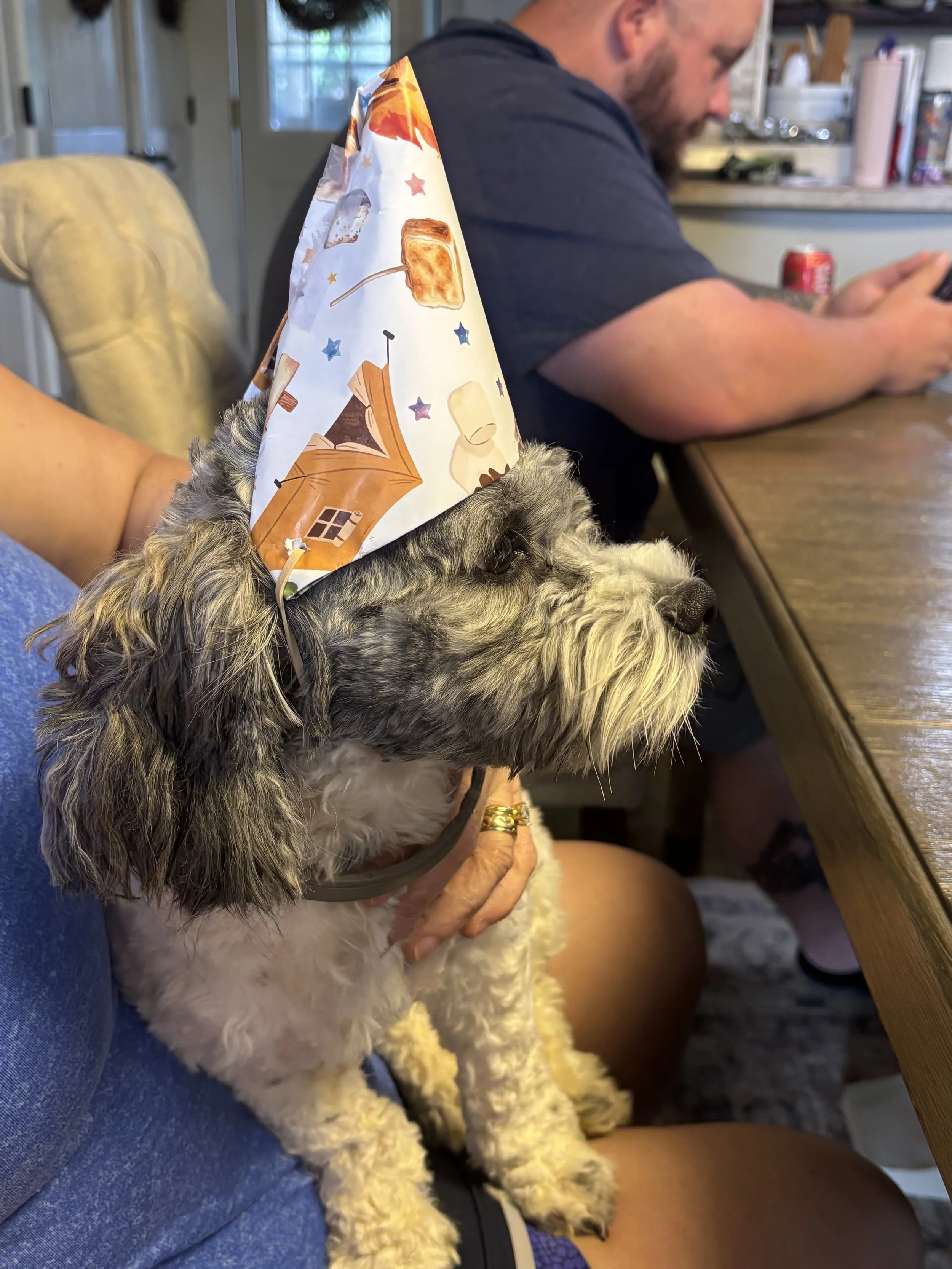 Gizmo turned one years old. We celebrated both Gizmo's and Bane's Birthday.
