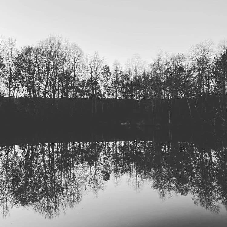 IMG_1155.PNG