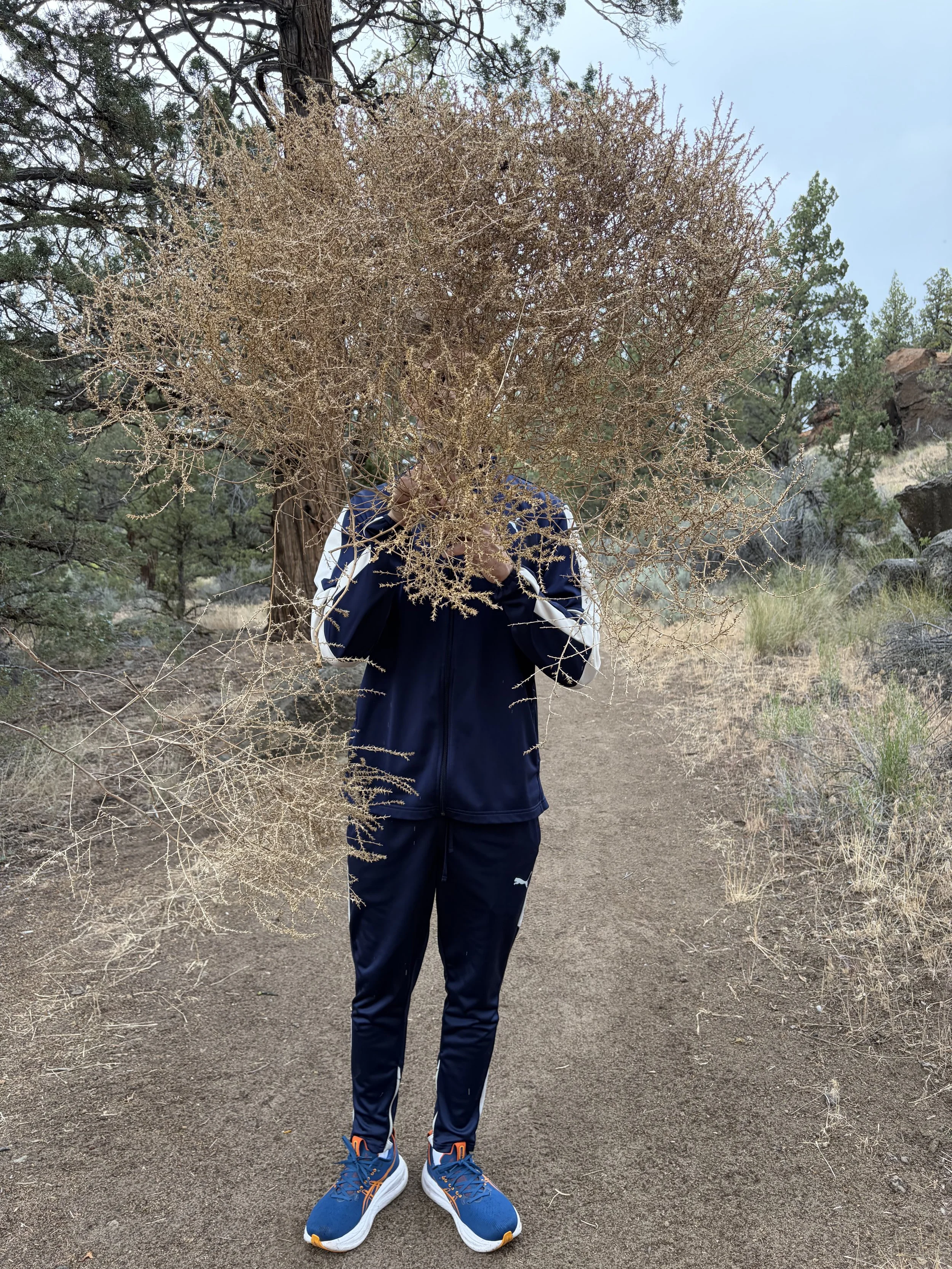 Person in sporty attire standing on a dirt trail surrounded by trees, holding a large, leafless bush that obscures their face.