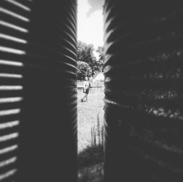 IMG_1295.PNG