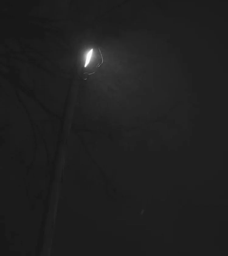 IMG_0637.PNG
