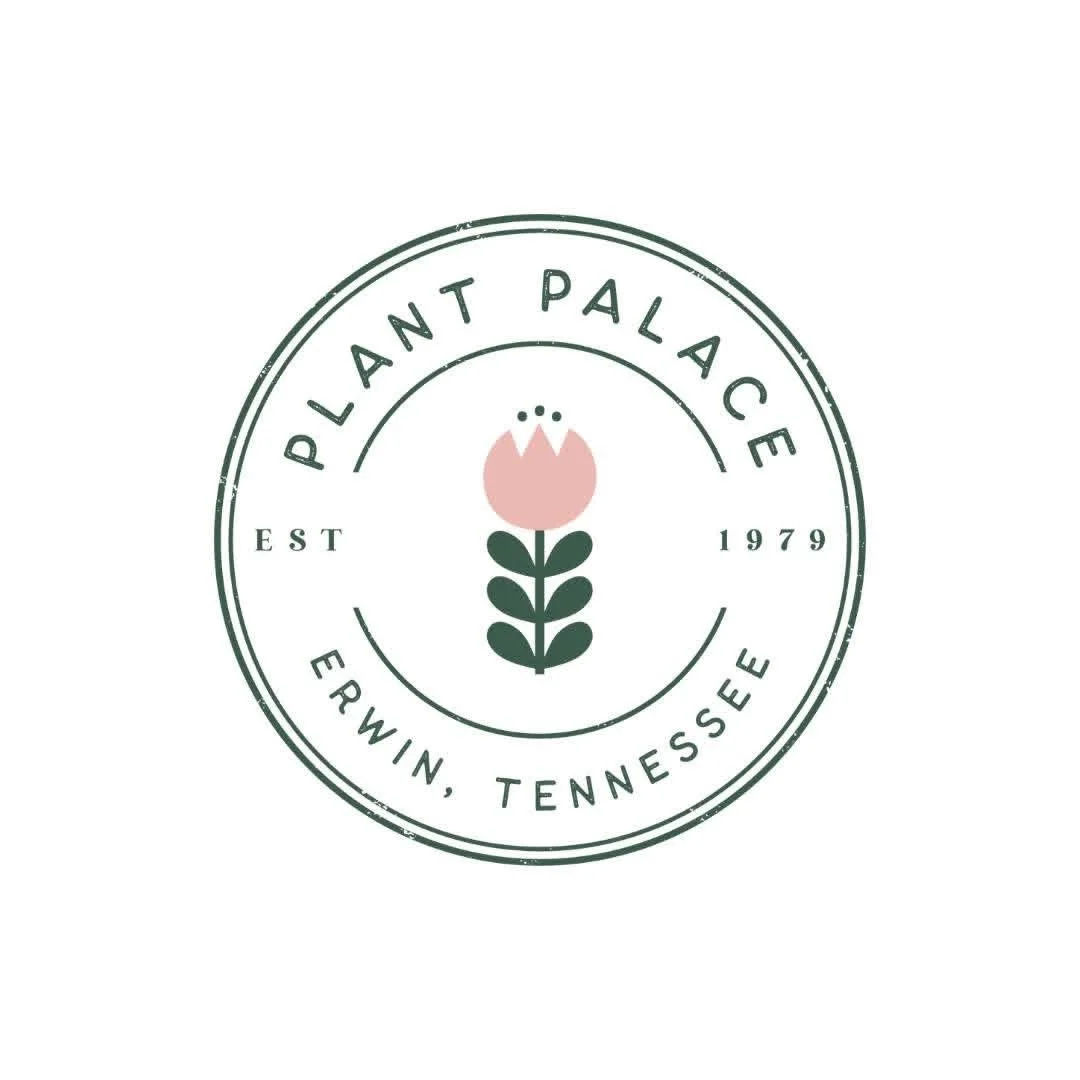 Silver Sponsor