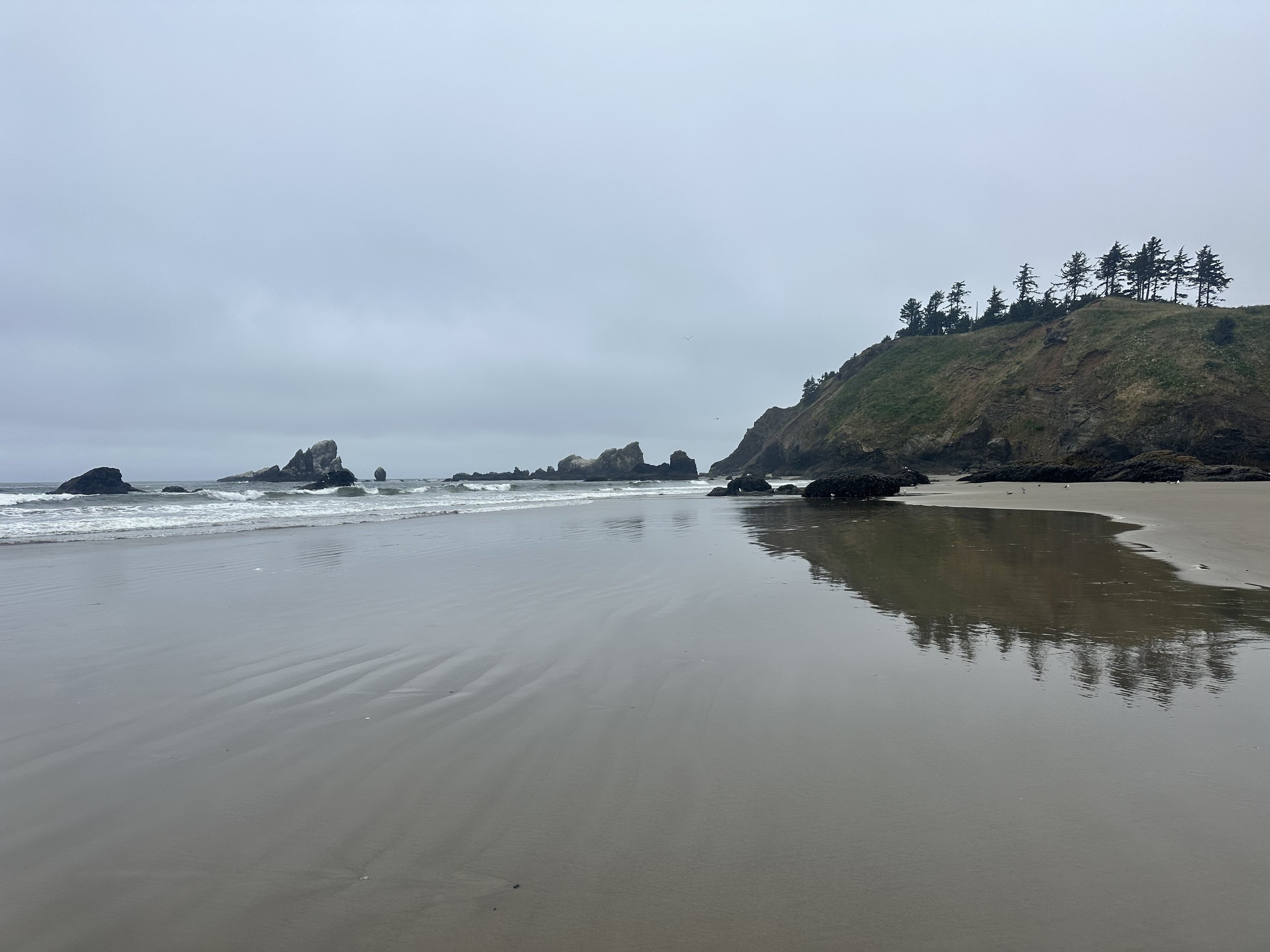 A coastal scene with a sandy beach, rocks in the ocean, green cliffs topped with trees, and overcast skies.