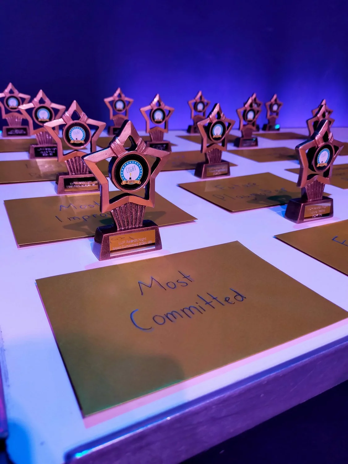Award trophies with a star shape and a circular center, placed on a table among gold-colored cards with handwritten notes, under purple lighting.