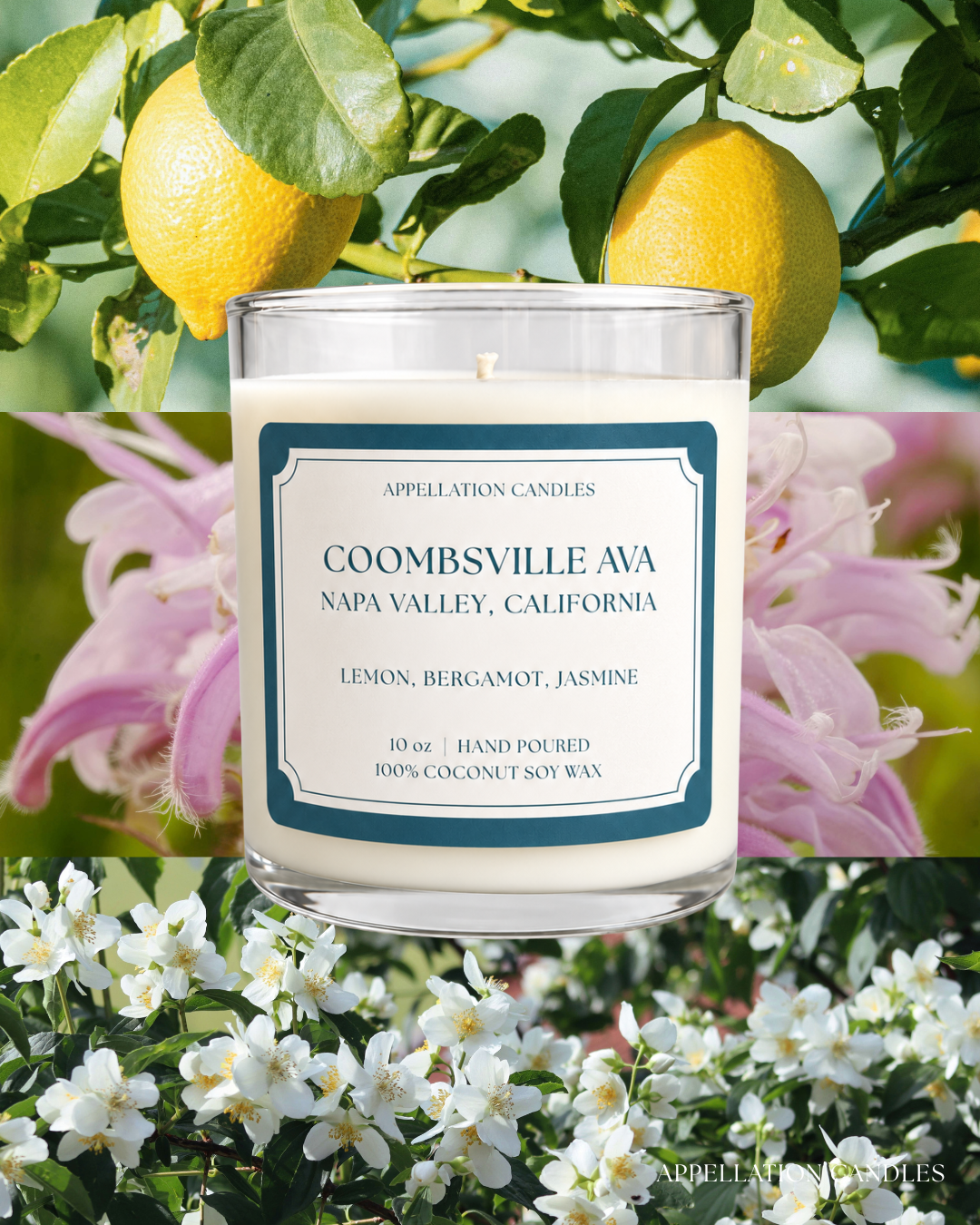 Coombsville AVA Candle - Lemon, Bergamot, Jasmine