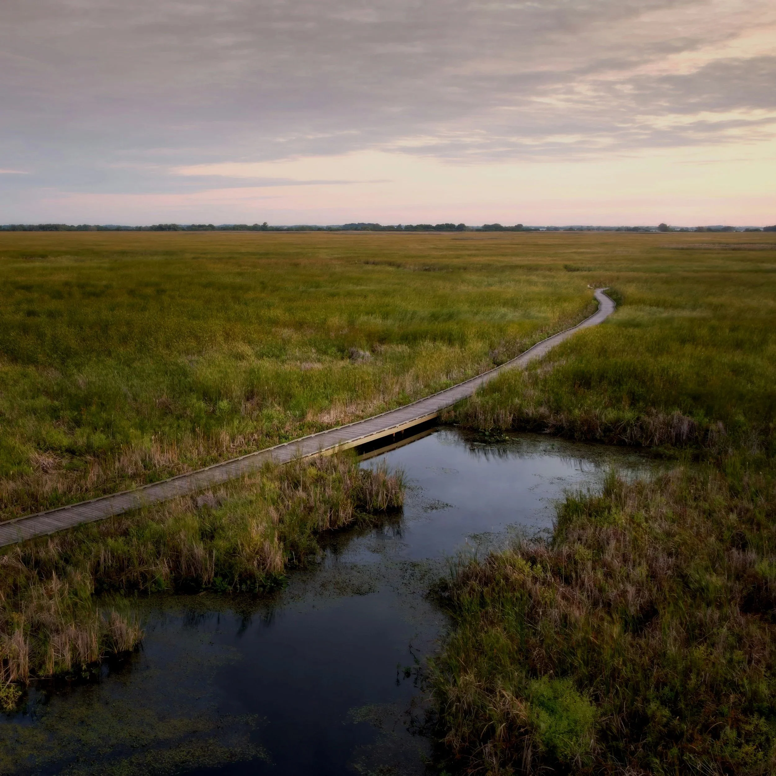 A marshland scene at dusk with tall grasses, a small canal, and an expansive cloudy sky.